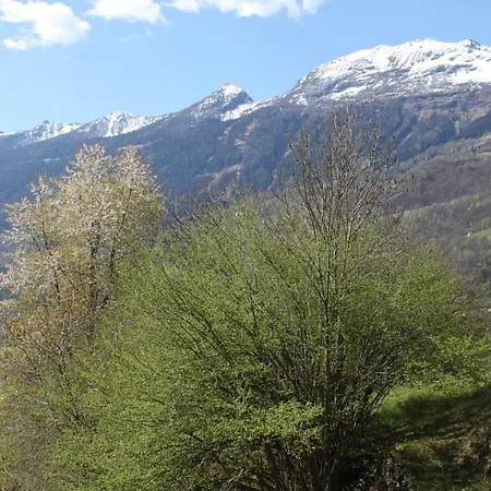 Daire Co D'franz - Pt